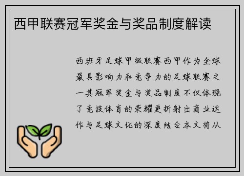 西甲联赛冠军奖金与奖品制度解读